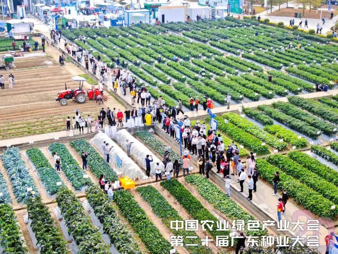 15692757-209d6fbe7e3ecc88591a4301db2f3981.jpeg 15692757-209d6fbe7e3ecc88591a4301db2f3981.jpeg