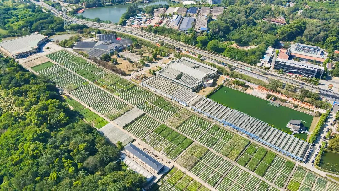 亮點來襲！第二十三屆廣東種業博覽會不容錯過！